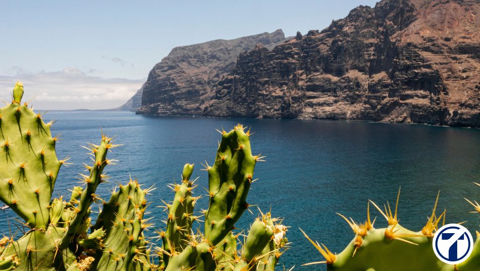 Tipos de IGIC en Canarias 2025