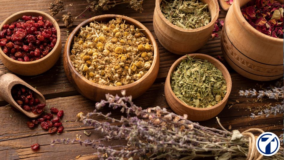 Cómo montar un herbolario | Requisitos + Costes