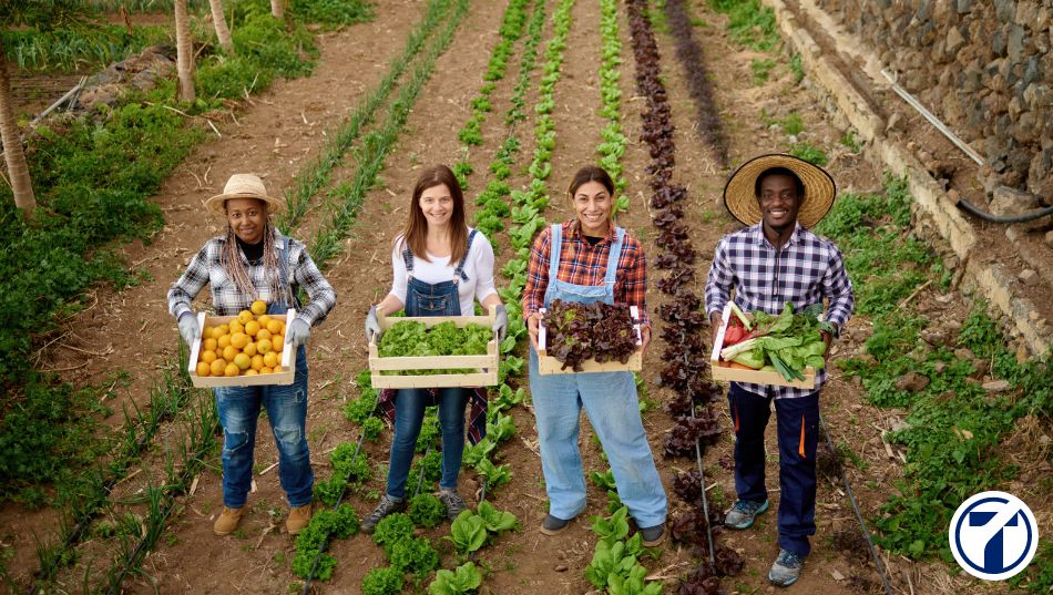 Cómo crear una cooperativa de trabajo en España