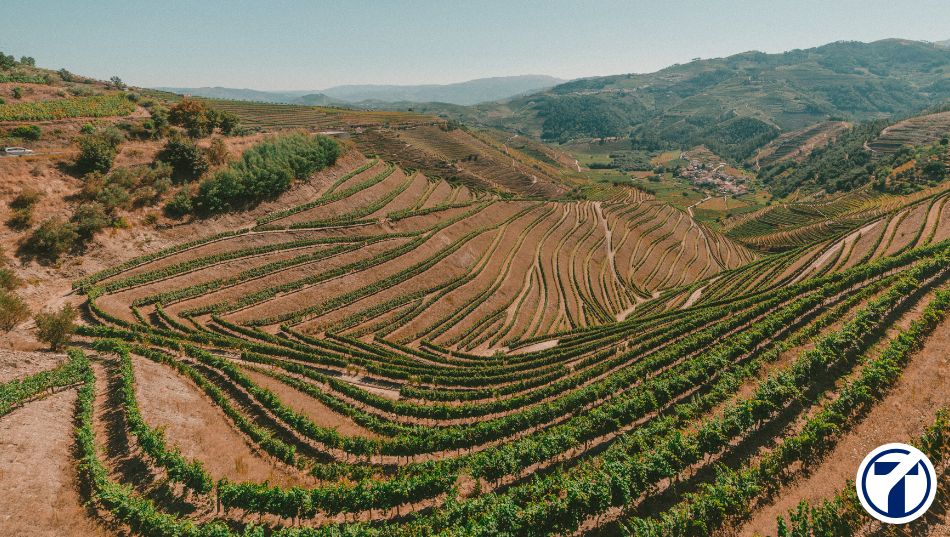 Ayudas para autónomos de La Rioja