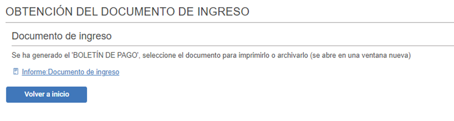 Pago de cuotas autónomos atrasadas - acceder a la sede electrónica TGSS - Informe documento de ingreso