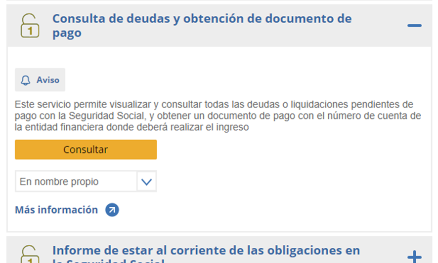 Pago de cuotas autónomos atrasadas - acceder a la sede electrónica TGSS - consulta de deudas y obtención del documento