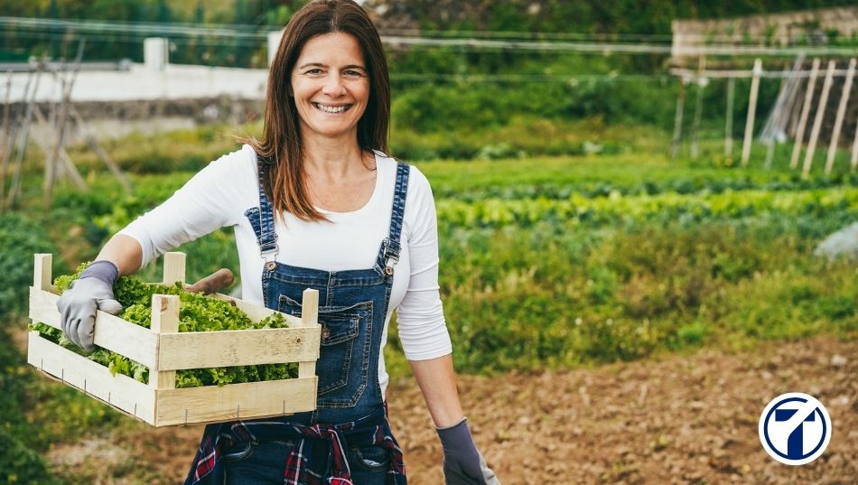 Qué tipos de cooperativa existen en España