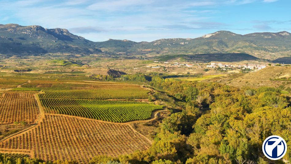 Cuota Cero La Rioja